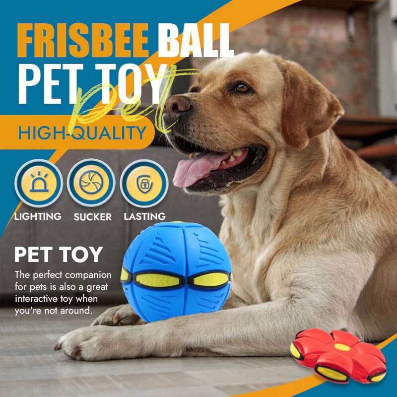 🐾Pet Toy Flying Saucer Ball