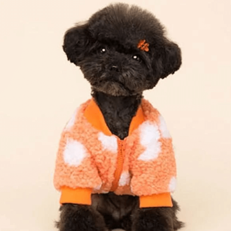 Warm Fleece Polka Dog Sweater
