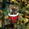 Boxer In Snow Pocket Christmas Ornament SP040