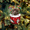 German Shorthaired Pointer In Snow Pocket Christmas Ornament SP056