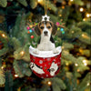 American Foxhound In Snow Pocket Christmas Ornament SP122