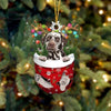 Brown Dalmatian In Snow Pocket Christmas Ornament SP136