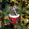 Catahoula Leopard Dog In Snow Pocket Christmas Ornament SP137