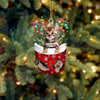 Cat In Snow Pocket Christmas Ornament SP157