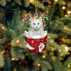 Cat In Snow Pocket Christmas Ornament SP163