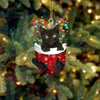 Cat In Snow Pocket Christmas Ornament SP185