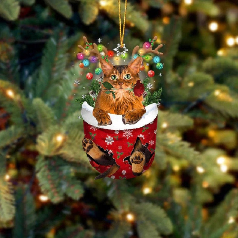 Somali Cat In Snow Pocket Christmas Ornament SP202