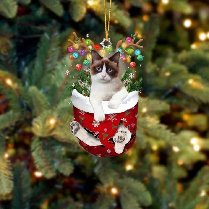 Snowshoe Cat In Snow Pocket Christmas Ornament SP203