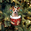 Red Heeler In Snow Pocket Christmas Ornament SP212