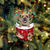 Border Terrier In Snow Pocket Christmas Ornament SP225