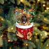 Leonberger In Snow Pocket Christmas Ornament SP257