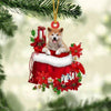 Shiba Inu In Gift Bag Christmas Ornament GB063