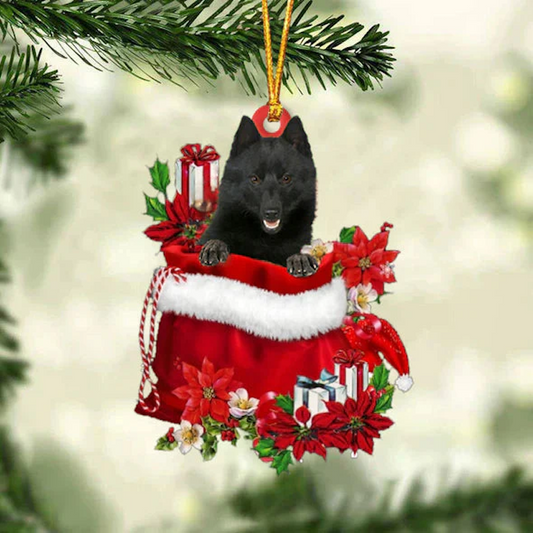 Schipperke In Gift Bag Christmas Ornament GB112