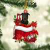 Rottweiler In Gift Bag Christmas Ornament GB132