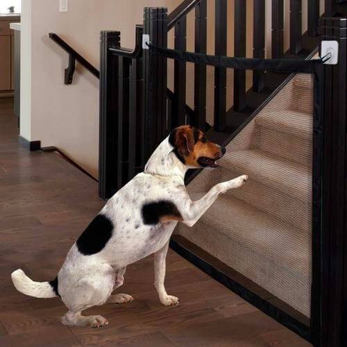 (50%OFF + BUY 2 FREE SHIPPING) Portable Kids &Pets Safety Door Guard