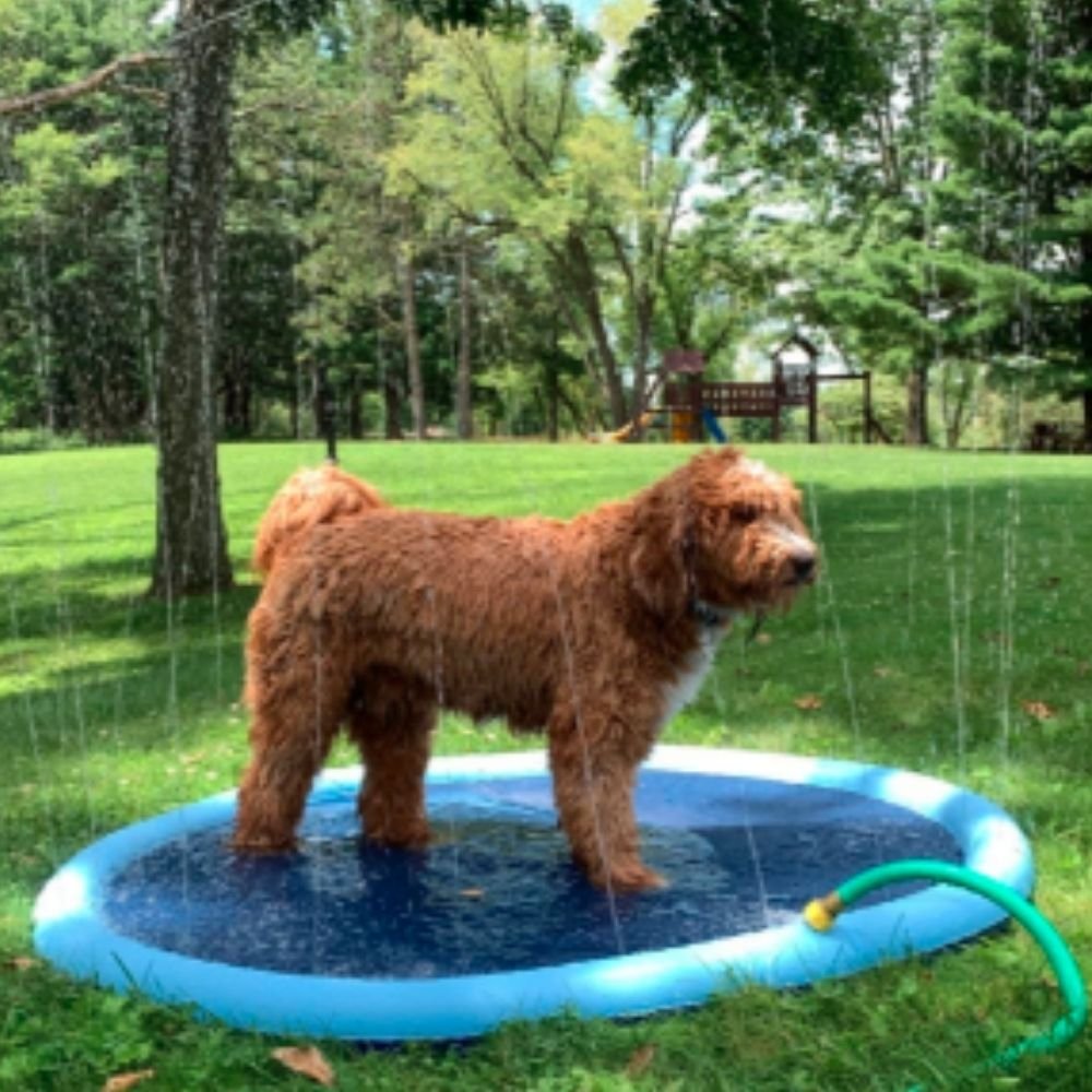 Dog Splash Sprinkler Pad